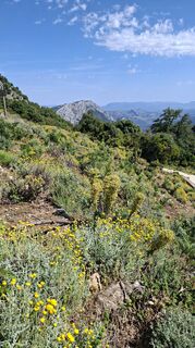 Photo de PerryB le long du parcours