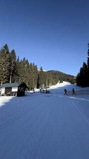 Fotografija s spletne strani Nejc Herman na poti