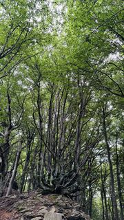 Foto fra Jean Claude Guidi undervejs på turen