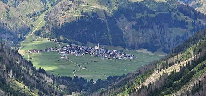 Fotografie de la Nico de-a lungul turului