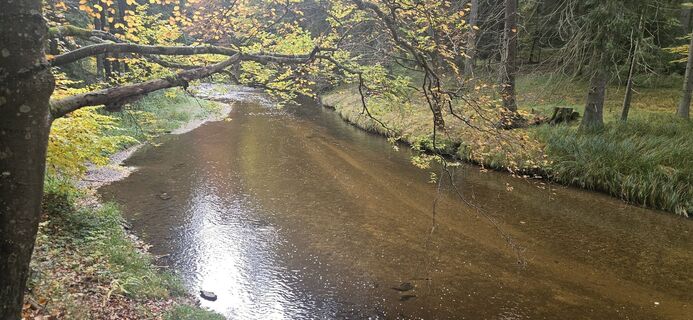 Fotografia z Berni_S na trase