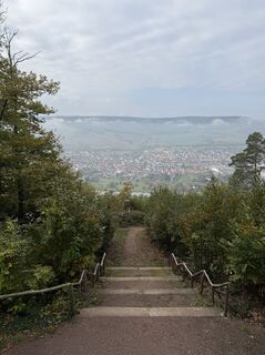 Foto de Vanessa Strauß a lo largo del recorrido