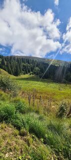 Foto von Monika Röska entlang der Tour