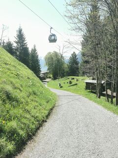 Foto von Waldläufer entlang der Tour