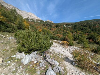 Fotografija s spletne strani Sabine Gerald2208 na poti