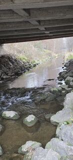 Photo de Sonja F. le long du parcours