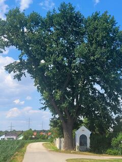 Foto von mmecki entlang der Tour