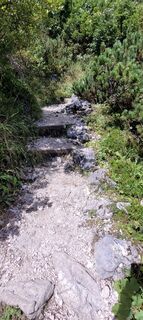 Fotografia z Nicky na trase