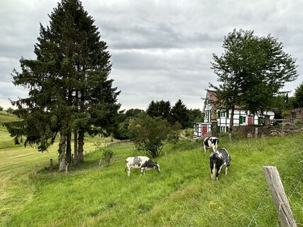 Weide und Fachwerkhaus am Liewerfrauenweg