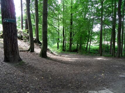 Weg in Liegau-Augustusbad