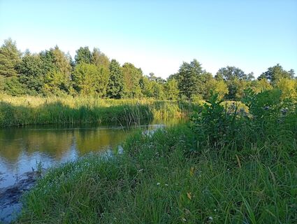 Photo de Agnieszkakrezo le long du parcours