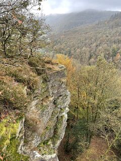 Fotografija s spletne strani Ivo na poti
