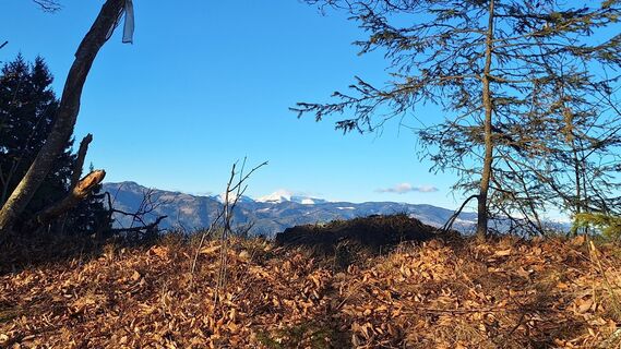 Foto von Susi Puhl entlang der Tour
