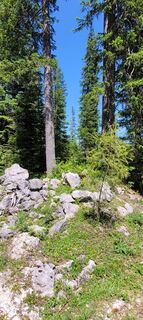 Fotografia z Fritz Mitterer na trase