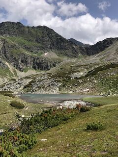 Foto von Schabsi entlang der Tour