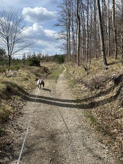 Fotografia z Car Wanderfreude na trase