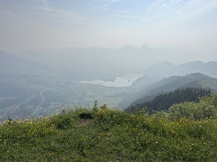 Fotó a reemyyse honlapról a túra során