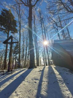 Fotografija s spletne strani Neža Veber na poti