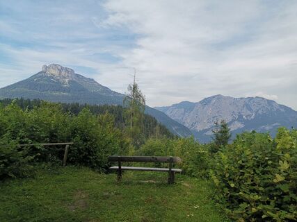 Aussicht vom Burghof