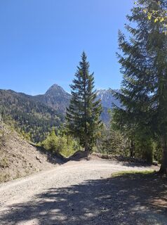 Foto von Miha Gros entlang der Tour