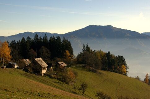 Blick zum Almgasthaus Puster