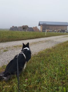 Foto von Henk de Vries entlang der Tour