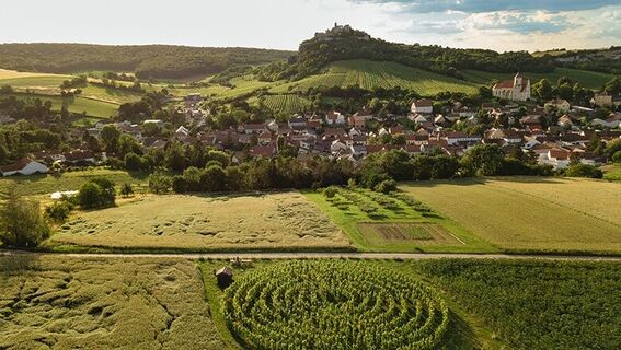Weingartenlabyrinth Falkenstein