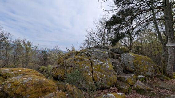 Photo de Richard Schwald le long du parcours