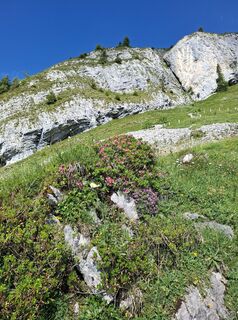 Photo de Maurer Silvia le long du parcours