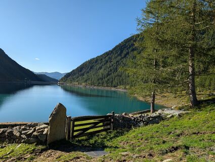 Foto von Pfefferam entlang der Tour