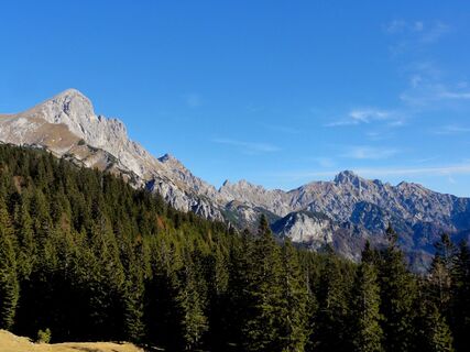 Karleckrunde über die Ochsenwaldalm