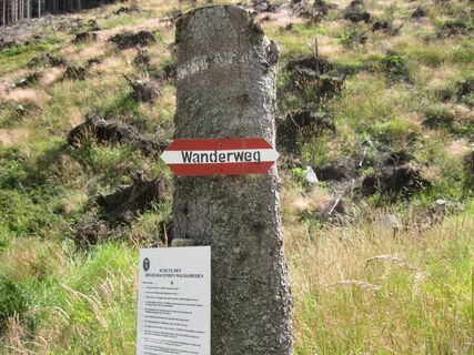 Zum Lärchkogel