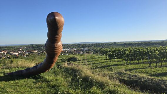 Fotografie de la Hieu Duc Tram de-a lungul turului