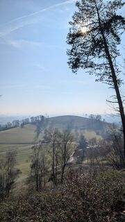 Fotografija s spletne strani Klaus Lehner na poti