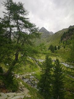Photo de Christiane Tillian le long du parcours