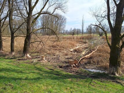 Foto von Hermann E. entlang der Tour