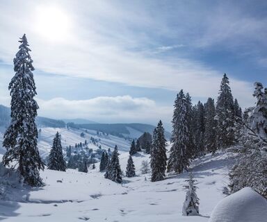 Winterlandschaft