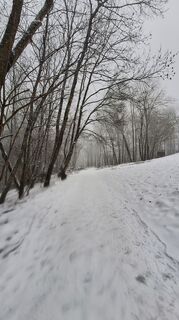 Foto de Regina Fleischmann a lo largo del recorrido