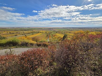 Foto von Thomas Hillinger entlang der Tour