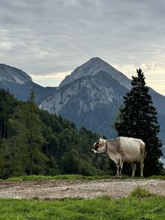 Fotó a Anne Kathrin Winter honlapról a túra során