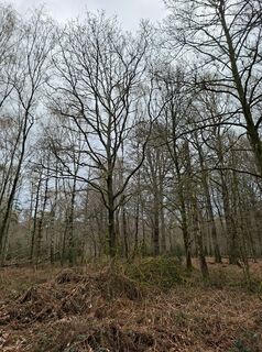 Foto de Keramiek a lo largo del recorrido