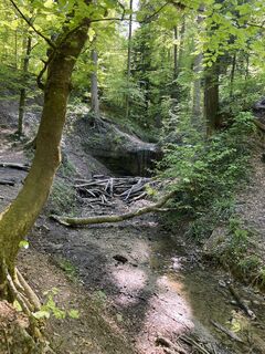 Fotó a Stefan Otto honlapról a túra során