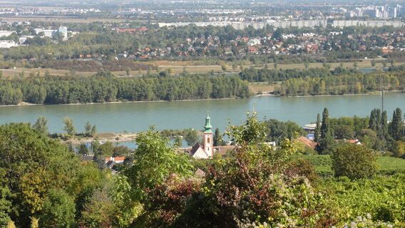 Der Zweite