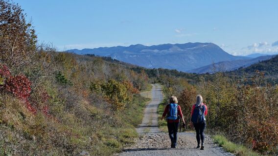 Der sonnige und aussichtsreiche Feuerwehrweg um den Lipnik und den Mali Ovčnjak.