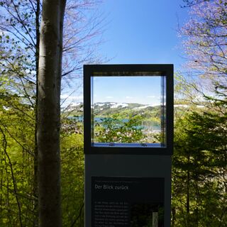 Bilderrahmen mit Blick zum Alpsee