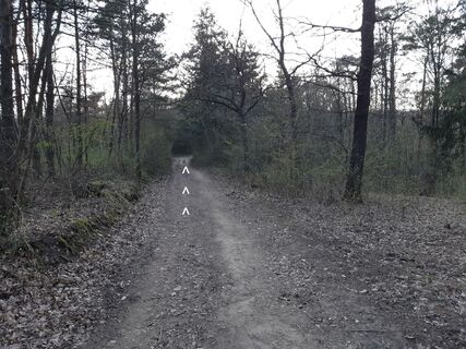 am markierten Wanderweg