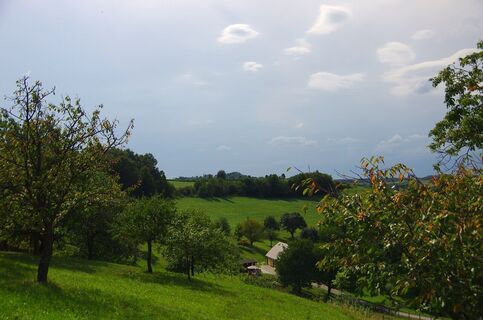 Streuobstwiesen am Weg