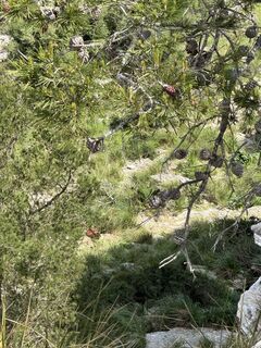 Fotografie de la Felix Wieland de-a lungul turului