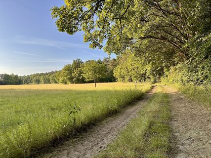 Fotografija s spletne strani Dr. Rike Maurer na poti