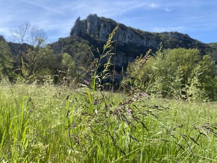 Zdjęcie z Mario Spalinger wzdłuż trasy